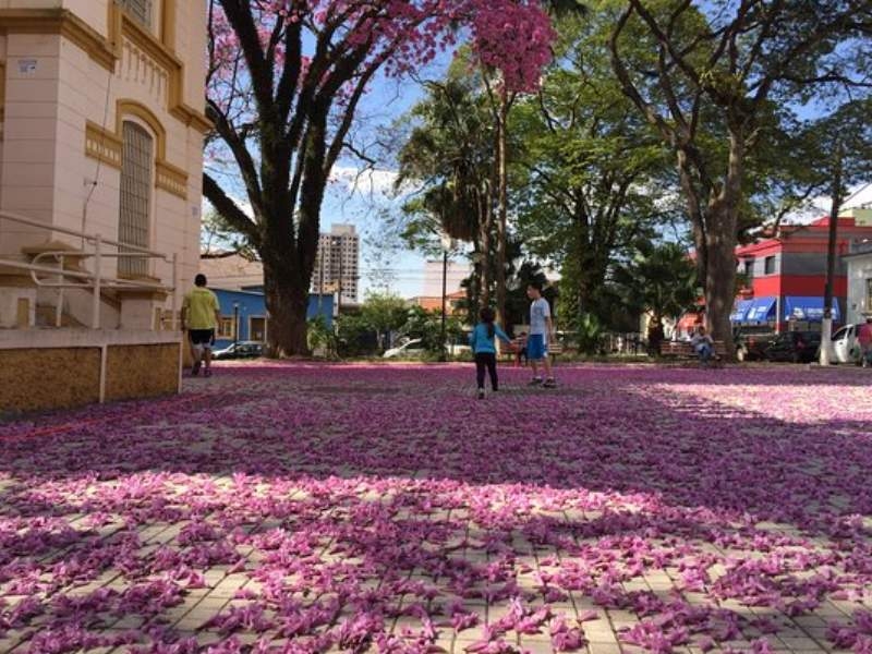 Tatuí - SP